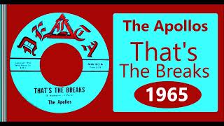 The Apollos - Thats The Breaks 1965  (Virginia Garage Bands)