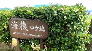 【とびしま海道　上蒲刈島】県民の浜　#shorts