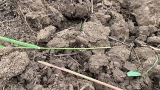 Compaction Mitigation Optimization