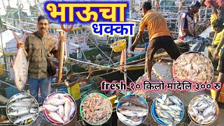 आज भरपुर मासे आलेत भाउच्या धक्यावर l bhaucha dhakka fish market l cheapest fish market in mumbai