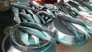 Famous Fish market/kothpeta chinna market/kakinada/Different fishes/#john