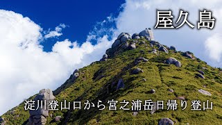 【屋久島】宮之浦岳日帰り登山（淀川登山口）世界自然遺産