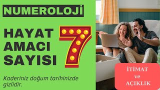 Hayat Amacı Sayısı 7- İtimat ve Açıklık, Dan Millman, Numeroloji