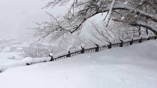 白川郷の荻町集落一望展望台、大雪と外国人の多さ