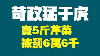 苛政猛于虎。卖5斤芹菜被罚6万6千。2022.08.29NO1457#苛政猛于虎