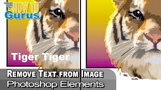 How You Can Remove Text from a Picture in Photoshop Elements Tutorial