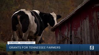 Tennessee Department of Agriculture provides aid to protect food supply chain