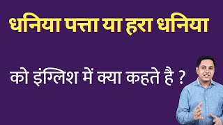 धनिया पत्ता या हरा धनिया को इंग्लिश में क्या कहते हैं ? dhaniya patta ko English mein kya kahate hai