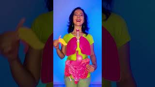 🧠 Body Secrets: Organs Inside Us!❤️ #kids #learn