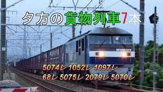 JR貨物 2020/07/30 夕方の貨物列車7本 午後6時半薄暗くなった