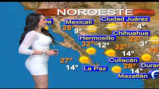 Mayte Carranco MiniFalda Blanca