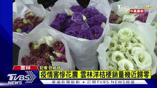 疫情害慘花農 雲林洋桔梗銷量幾近歸零｜TVBS新聞