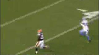 James Davis Touchdown Run -ohiosportsnet