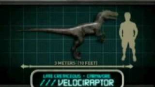 JP Explorer - V. Raptor Profile