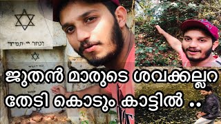 Jewish tombstone|kerala|forest|eranakulam|forest|india| Synagogue kochi |jewish kerlala