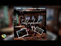 VeeRSA, Visca and Cuba Beats - Inhlupheko [Feat. Katarina RSA] (Official Audio)