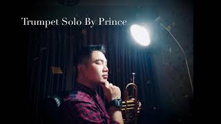 On The  Sunny Side Of The Street - Louis Armstrong ( Cover Trumpet By Prince Terracotta  )