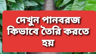 দেখুন কিভাবে পান বরজ তৈরি হয়