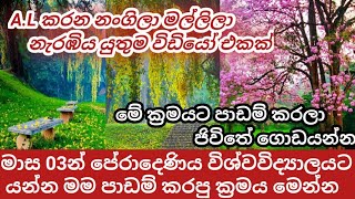 #මාස 3න් විශ්වවිද්‍යාලයට යන්න මම පාඩම් කරපු ක්‍රමය#peradeni campas #Study methods #How to pass exams