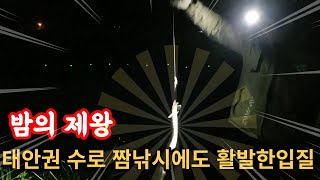 태안 이원수로 장어낚시 확실한 입질!!!  밤의 제왕 민물장어 !!!