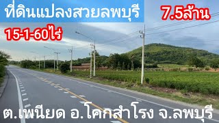 ที่ดินลพบุรี 15ไร่/ไร่ละ500,000 ต.เพนียด อ.โคกสำโรง ติดถนนลาดยาง ใกล้สนามกอล์ฟนารายฮิลล์