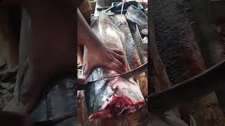 தூண்டில் நெய்மீன் CUTTING VIDEO #beerichfishcorner #nagercoilfish #fishcutting #vanjaramfish