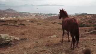 Discover your own Tinos