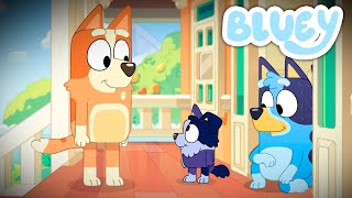 Bluey and Bingo as Adults! What Will It Be Like? (Season 4)