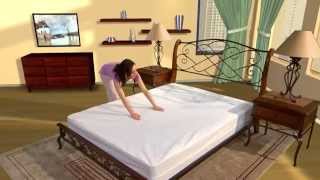 Bed Bug Proof Box Spring Encasement by Protect-A-Bed