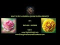 what is divya buddhi divine intelligence by sachin j. karnik in english after prayers