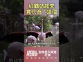 生態觀察：紅鶴站起來，竟然只為了這個？#動物星天頻道 #星期天配音是對的