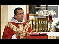 Dying to Save Souls: St. Boniface - Jun 05 - Homily - Fr Matthias