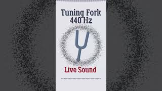 Tuning Fork 440 Hz Frequency Sound #shorts #sound #frequency #music