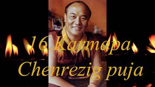 16. Karmapa-  Chenrezig puja