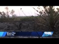 snn brush fire in siesta key