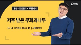 [온땅의빛성문교회 주일예배] 2024.11. 10. - 저주받은 무화과나무