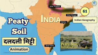 Peaty soil in india Animation | Marshy soil | दलदली मृदा | by Ravi Yadav (MNNIT Alumni)