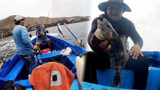 WE WERE ABLE TO SAVE THE TRONG WITH THESE CABRILLAS | Tablita Fishing