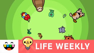 Whaaat?! Can You Flush Pets in Toca Life: City? | Life Weekly | @TocaBoca