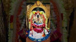 Sri Laxmi Devi at Sri Laxminarayana Temple, Kollegala, Chamarajanagar Dist, Karnataka 🙏🙏🙏