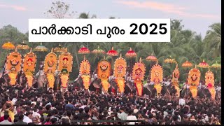 Parkkadi pooram 2025 | majestic 33 Kerala famous elephants and thrilling pandi melam