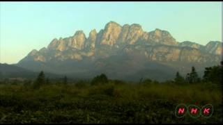 Lushan National Park (UNESCO/NHK)