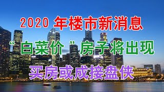 2020年中国房地产楼市新消息！“白菜价”房子将出现，买房子或成接盘侠。