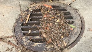 Storm debris overwhelms Stockton storm drainage system, flooding streets