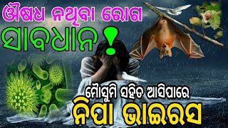 ଜୀବନ ନେଇପାରେ\