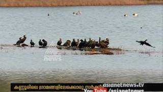 A Travel to Kannur Village  |സര്‍ക്കീട്ട്| Kerala school kalolsavam 2017