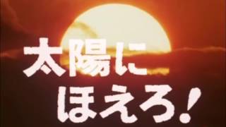 太陽にほえろ！メインテーマⅡ