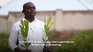 IOM has supported the development of a cashew seedlings nursery in the Dormaa East District, Ghana