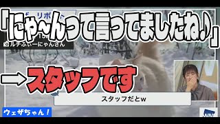 猫リポート（CV：スタッフさん）【山岸愛梨】【ウェザーニュース】【切り抜き】