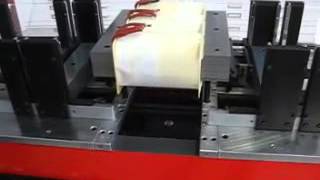 Industria Meccanica Previdi Srl Automatic Fixed Lamination Stacking Machine  Imp TFA FX